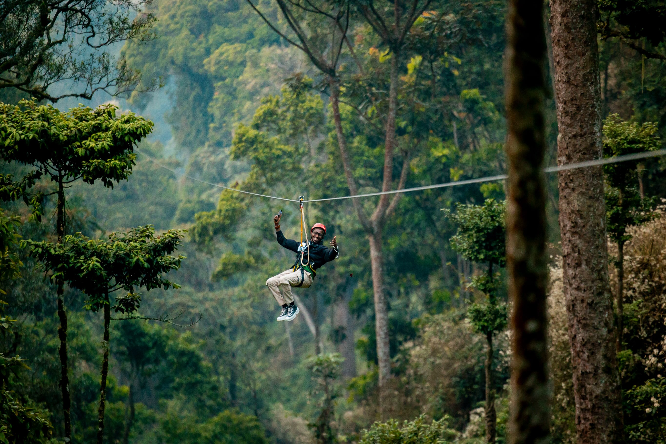 1-Day Rwanda Chimpanzee Trek from Kigali 