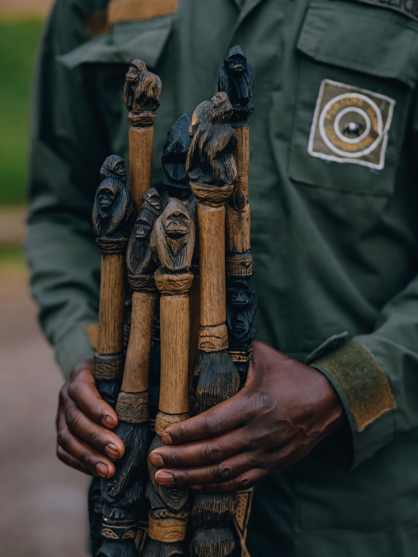 Uganda vs Rwanda: Where Should You Trek Gorillas?