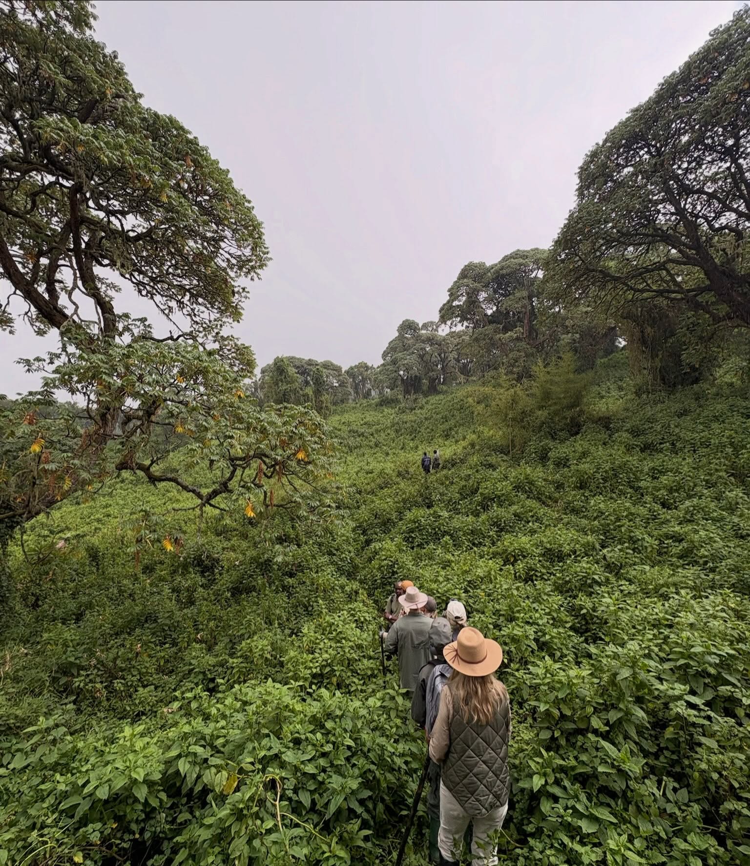 What to Pack for a Gorilla Safari: The Definitive List