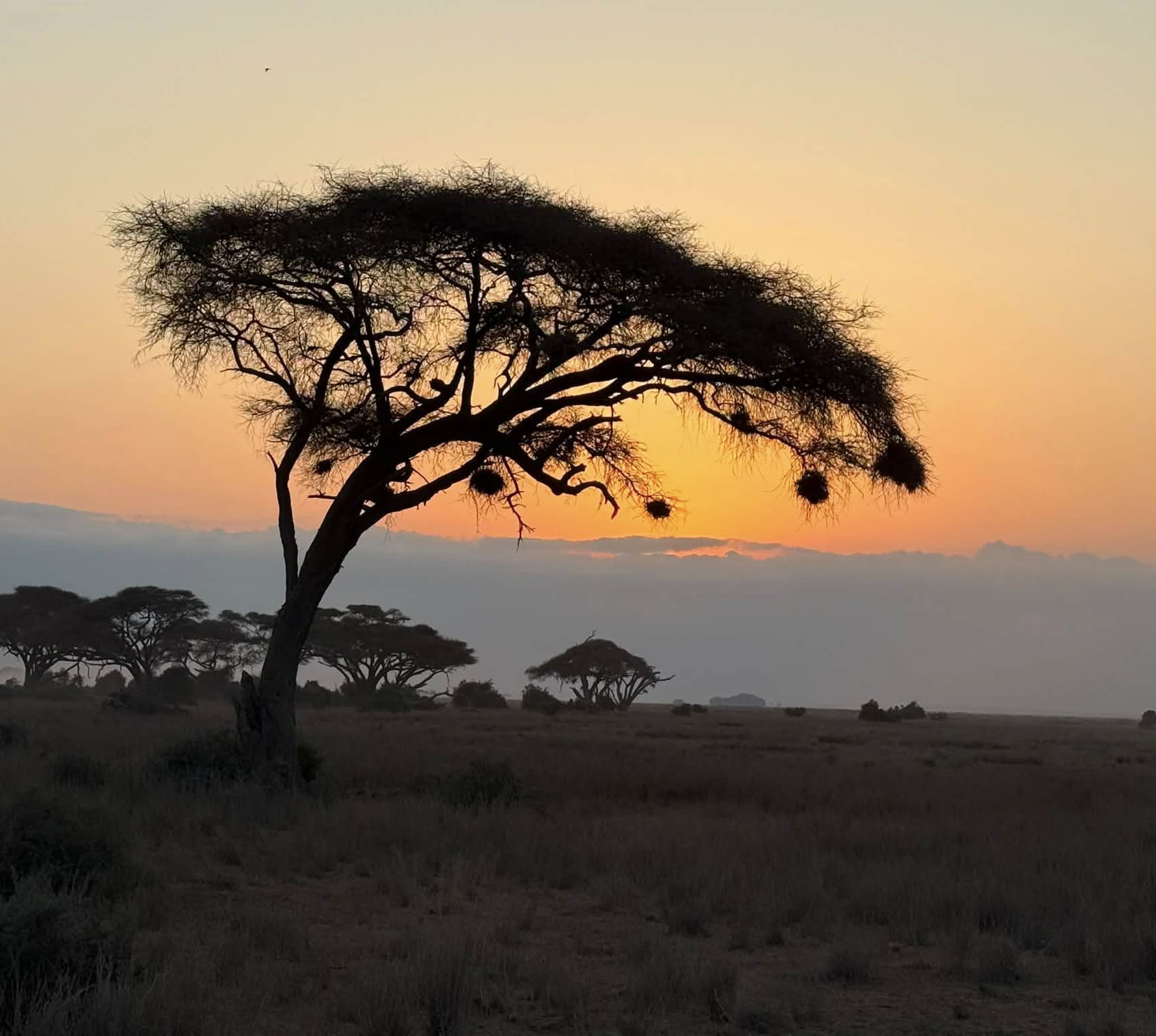 Akagera National Park
