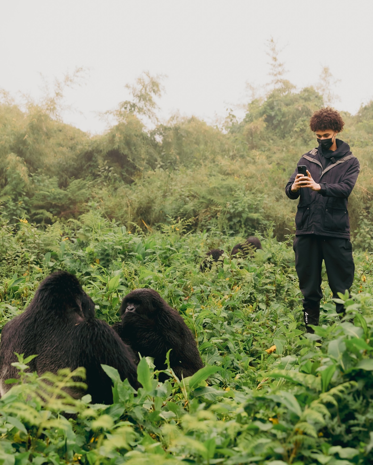 1 Day Rwanda Gorilla Trek from Kigali