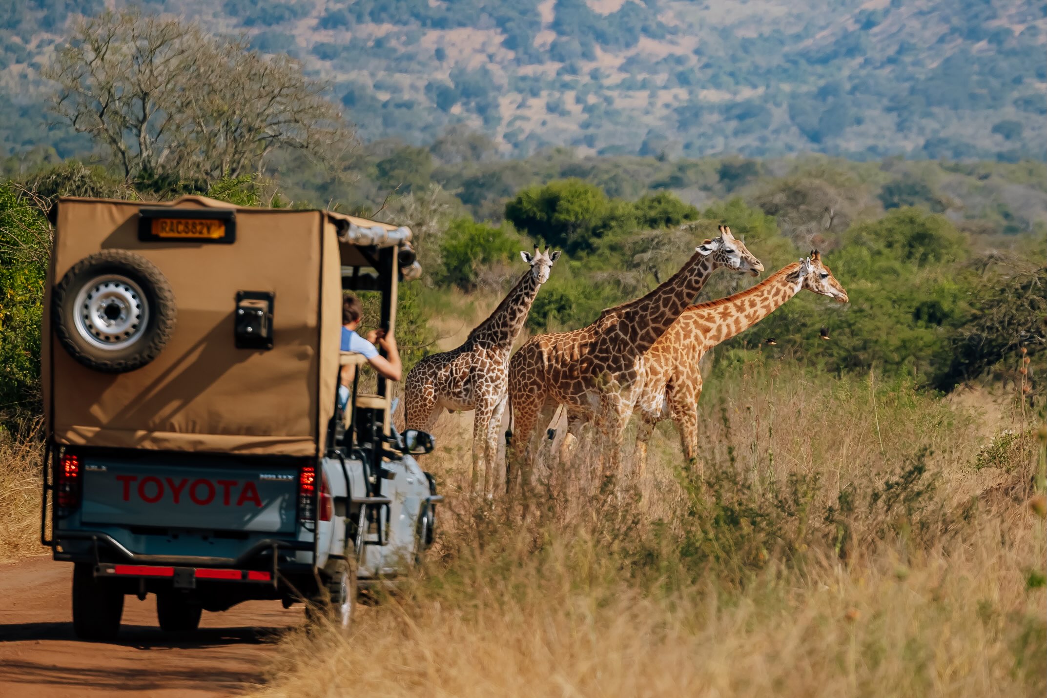 1-Day Akagera Big Five Game Drive & Boat Safari Day Trip
