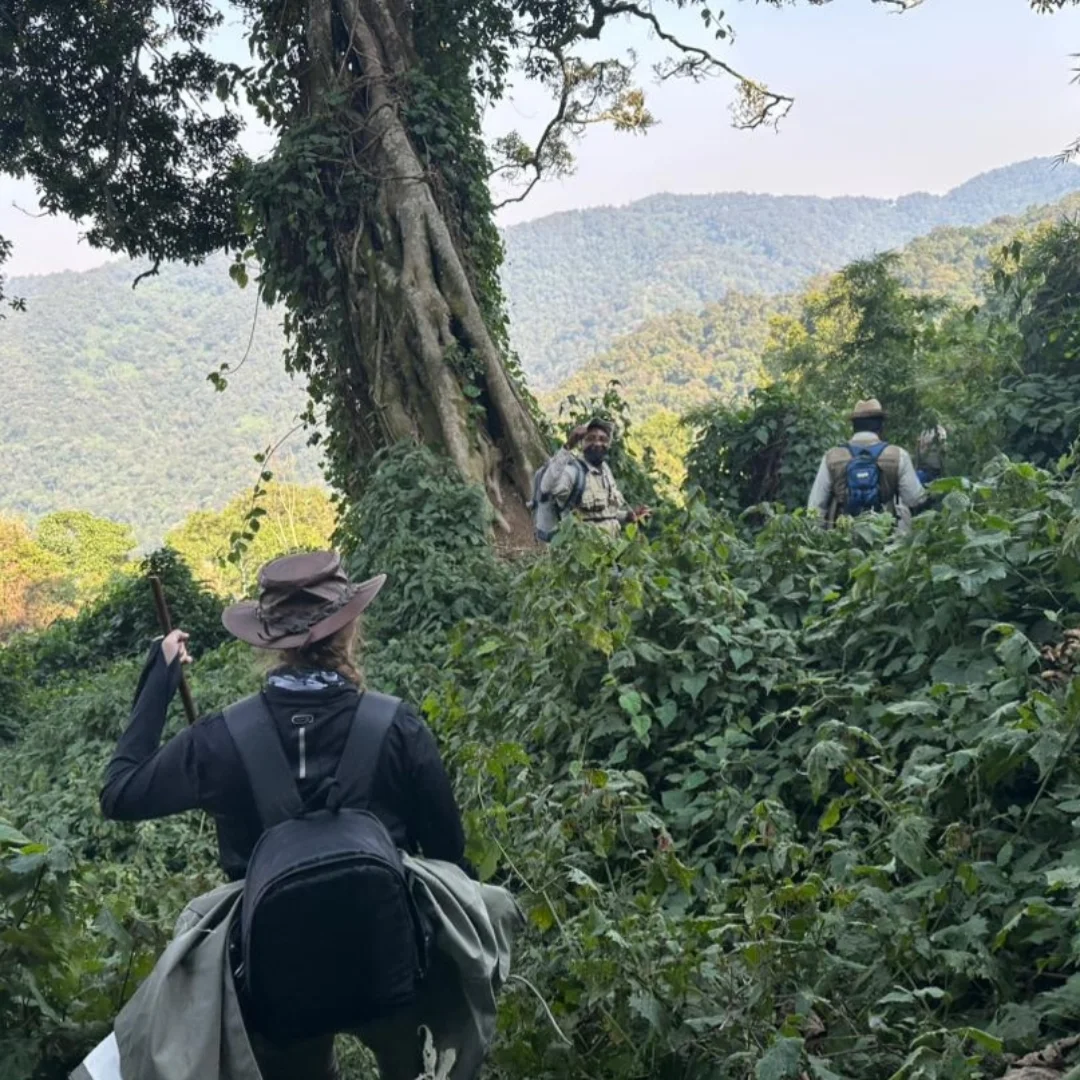 4-Day Bwindi Gorillas & Lake Mutanda from Kigali