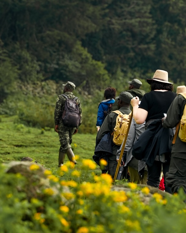 7-Day Great Apes Expedition | Gorilla & Chimp Trek Rwanda 