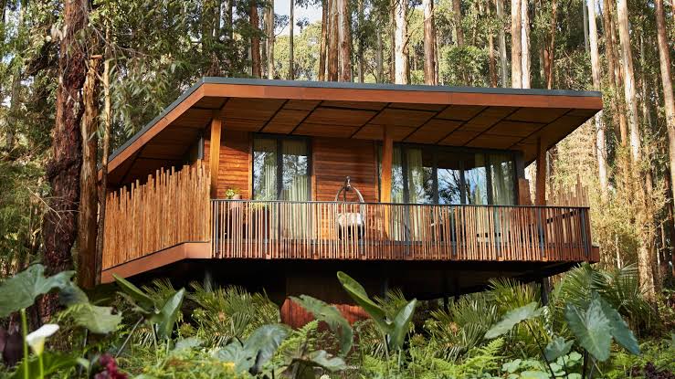 7-Day Luxury Rwanda & Uganda Primates Expedition