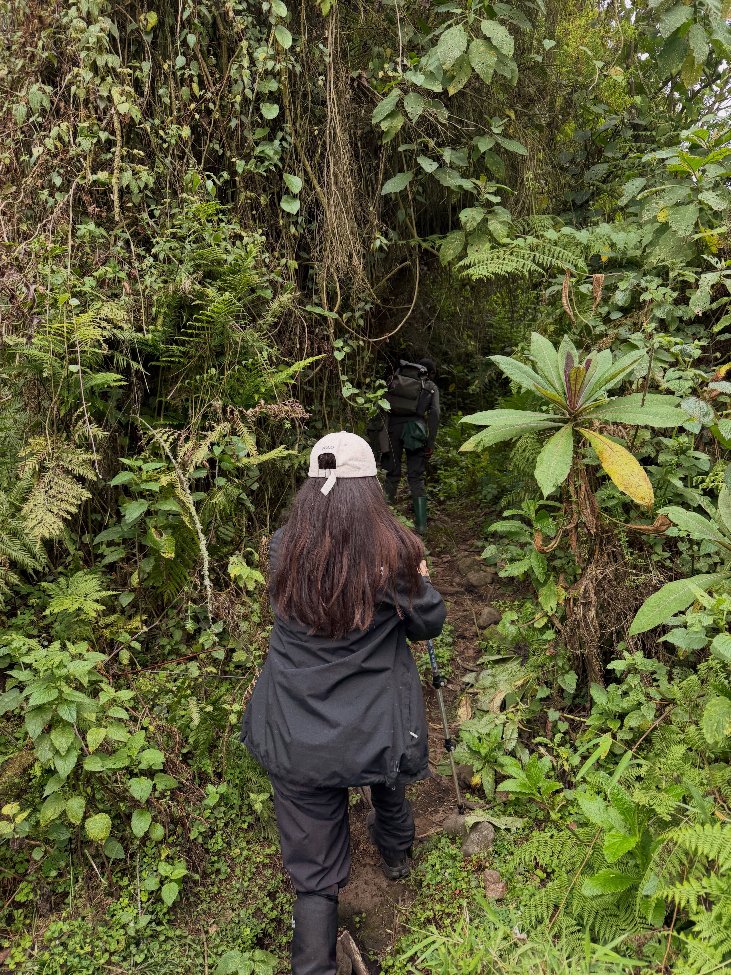 Kibale Forest National Park