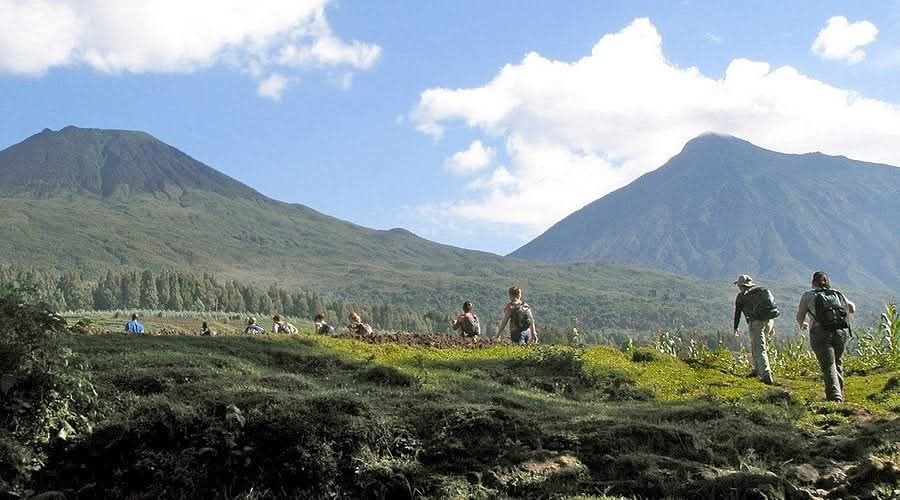 2-Day Mount Karisimbi Hike — from Kigali