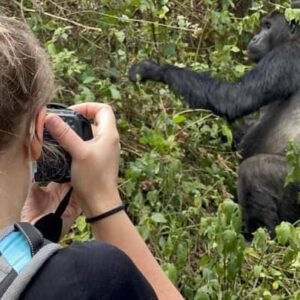 rwanda gorilla trek