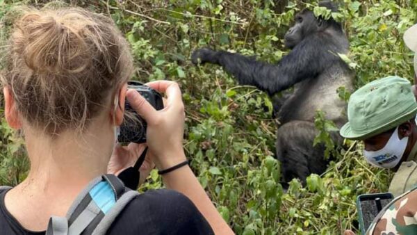 rwanda gorilla trek