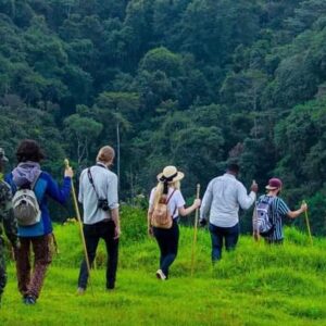 3 days uganda gorilla tour from kigali
