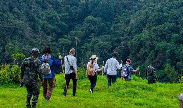 3 days uganda gorilla tour from kigali